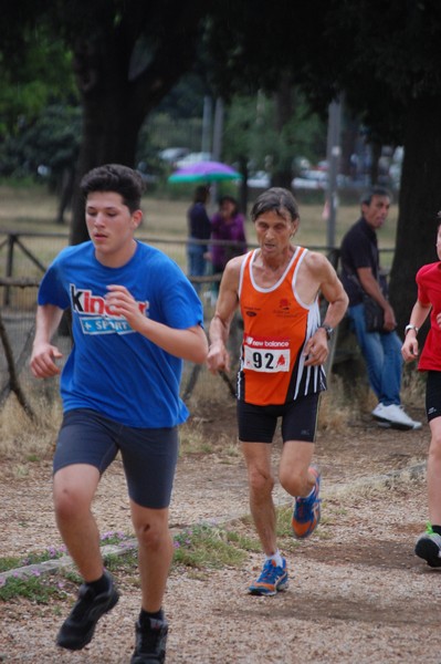 Solstizio d'estate (18/06/2014) 00130