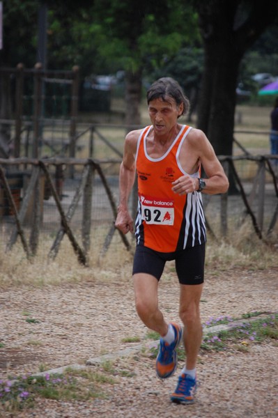 Solstizio d'estate (18/06/2014) 00132