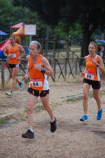 Solstizio d'estate (18/06/2014) 00171