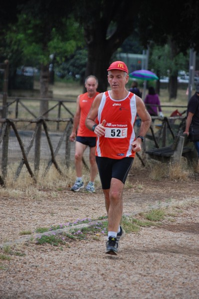 Solstizio d'estate (18/06/2014) 00183