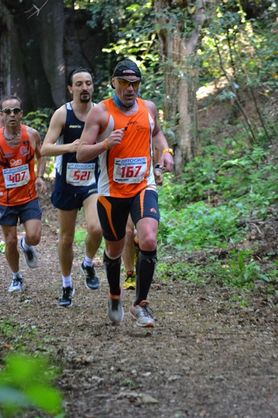 Giro delle Ville Tuscolane (25/04/2014) 010