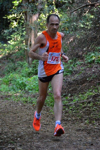 Giro delle Ville Tuscolane (25/04/2014) 019
