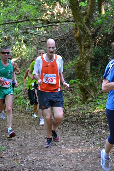 Giro delle Ville Tuscolane (25/04/2014) 052