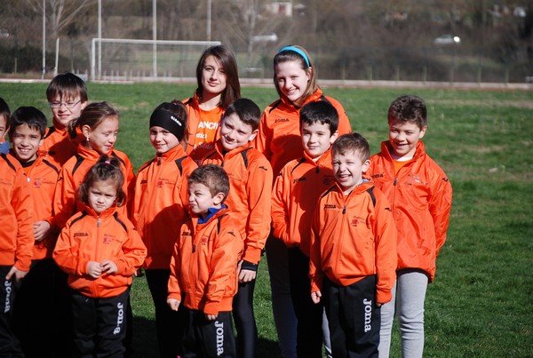 Corso di Atletica Leggera (15/02/2014) 00006