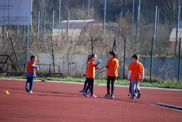Corso di Atletica Leggera (15/02/2014) 00017