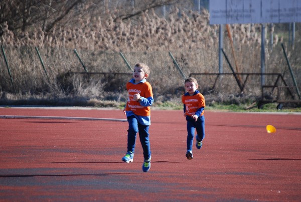 Corso di Atletica Leggera (15/02/2014) 00018