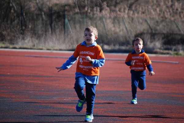 Corso di Atletica Leggera (15/02/2014) 00019