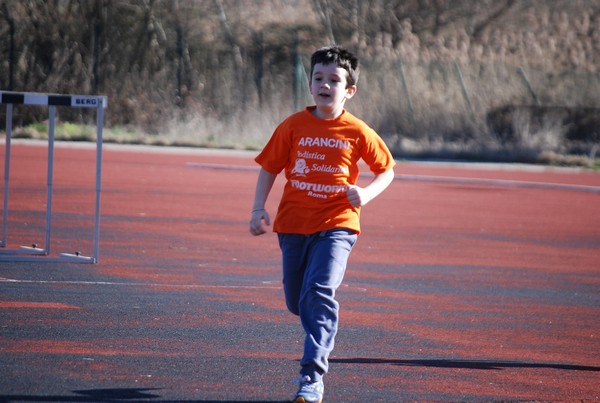 Corso di Atletica Leggera (15/02/2014) 00021