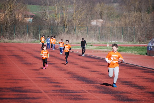 Corso di Atletica Leggera (15/02/2014) 00022