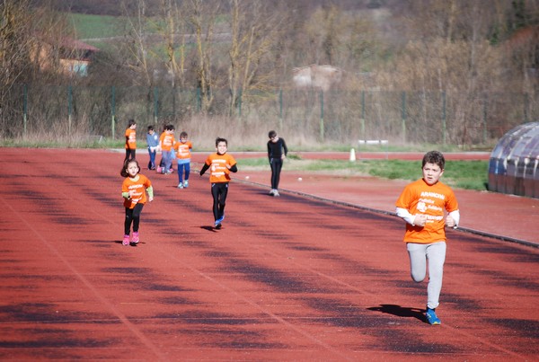 Corso di Atletica Leggera (15/02/2014) 00023