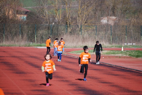 Corso di Atletica Leggera (15/02/2014) 00024