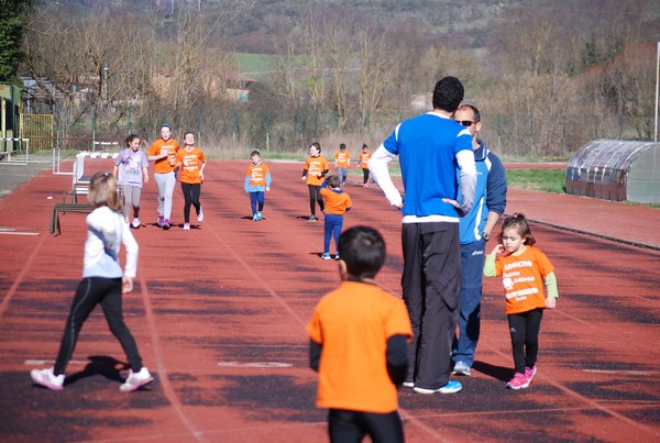 Corso di Atletica Leggera (15/02/2014) 00025