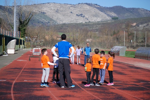 Corso di Atletica Leggera (15/02/2014) 00026