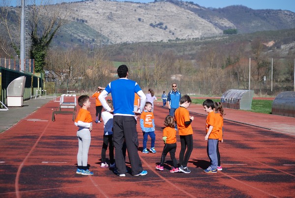 Corso di Atletica Leggera (15/02/2014) 00027