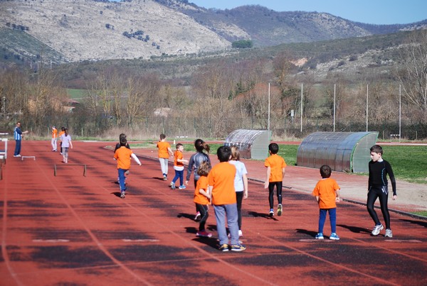 Corso di Atletica Leggera (15/02/2014) 00028