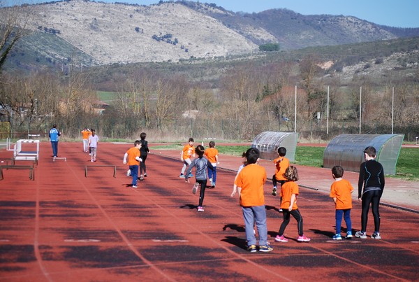 Corso di Atletica Leggera (15/02/2014) 00029
