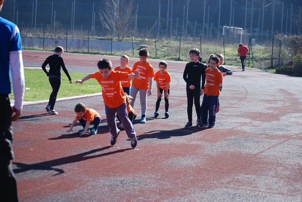 Corso di Atletica Leggera (15/02/2014) 00040