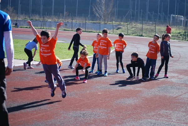 Corso di Atletica Leggera (15/02/2014) 00041