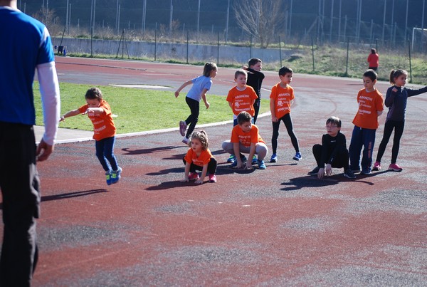 Corso di Atletica Leggera (15/02/2014) 00042