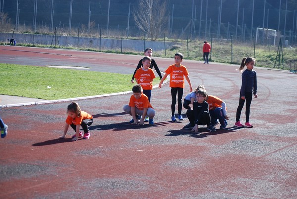 Corso di Atletica Leggera (15/02/2014) 00043
