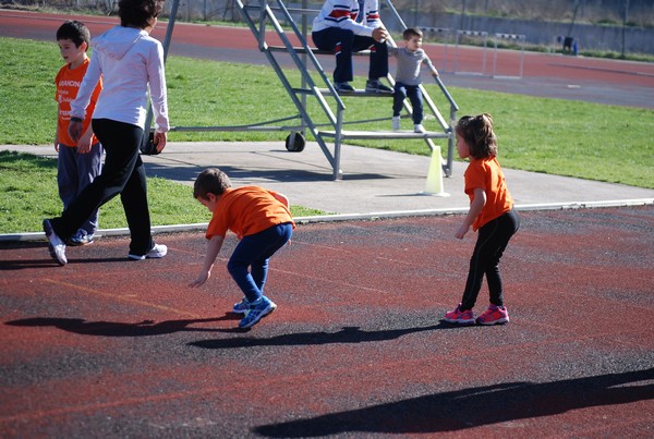 Corso di Atletica Leggera (15/02/2014) 00044
