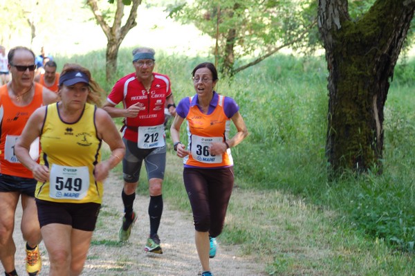 Campestre Oasi di Ninfa (24/05/2014) 015