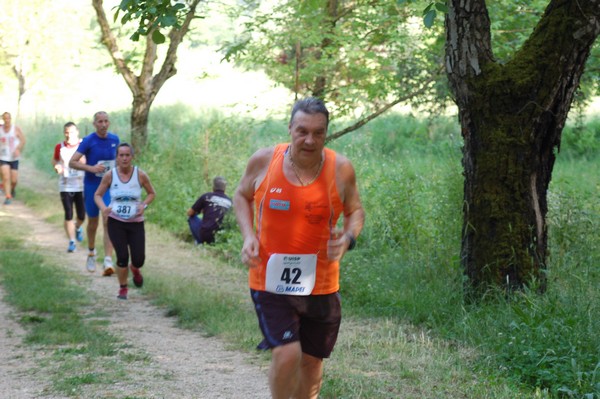Campestre Oasi di Ninfa (24/05/2014) 019