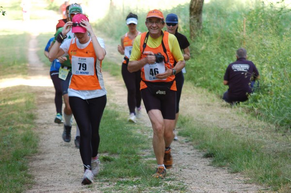 Campestre Oasi di Ninfa (24/05/2014) 029