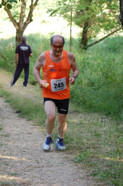 Campestre Oasi di Ninfa (24/05/2014) 035