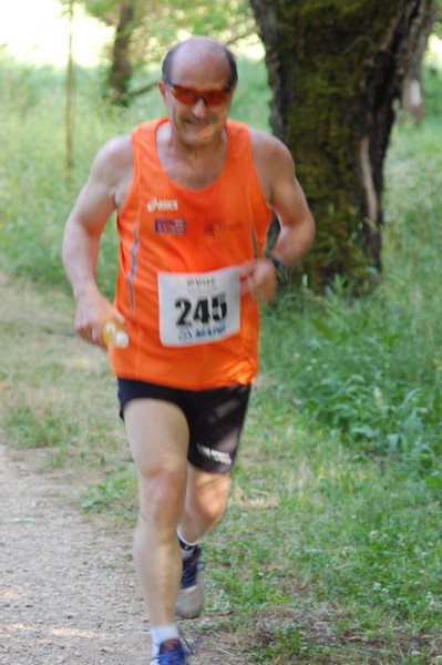 Campestre Oasi di Ninfa (24/05/2014) 037