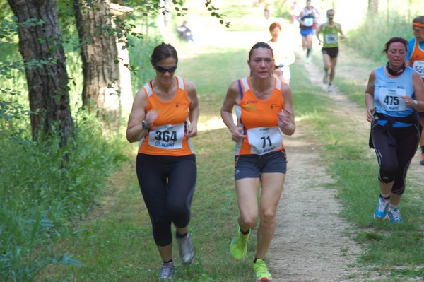 Campestre Oasi di Ninfa (24/05/2014) 050