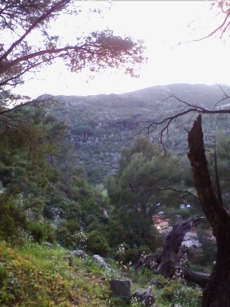 Capraia Wild Trail (06/04/2014) 002