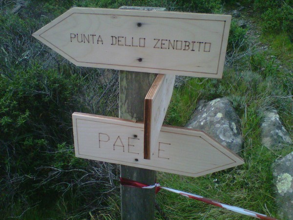 Capraia Wild Trail (06/04/2014) 010