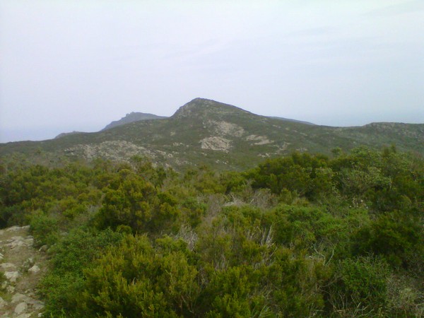 Capraia Wild Trail (06/04/2014) 011