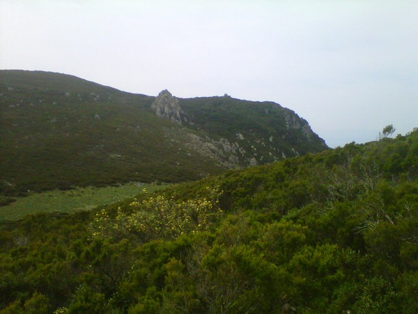 Capraia Wild Trail (06/04/2014) 012