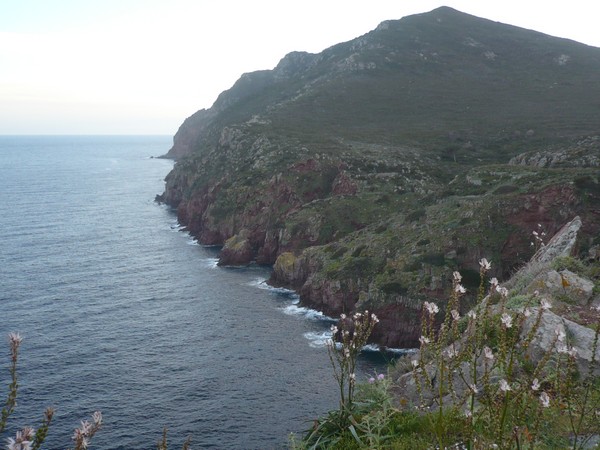 Capraia Wild Trail (06/04/2014) 019