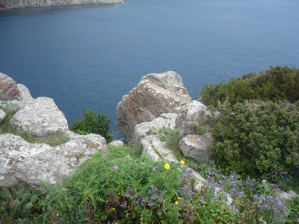 Capraia Wild Trail (06/04/2014) 023