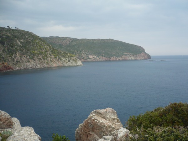 Capraia Wild Trail (06/04/2014) 024