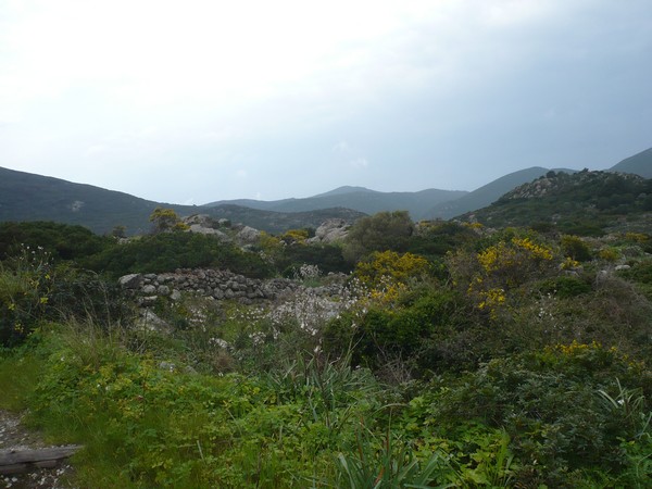 Capraia Wild Trail (06/04/2014) 027