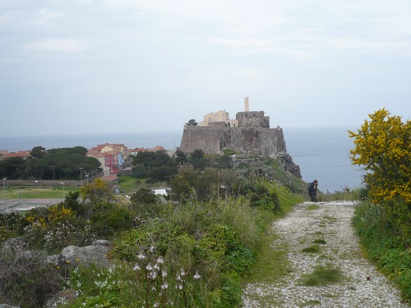 Capraia Wild Trail (06/04/2014) 028