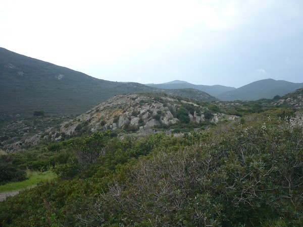 Capraia Wild Trail (06/04/2014) 029