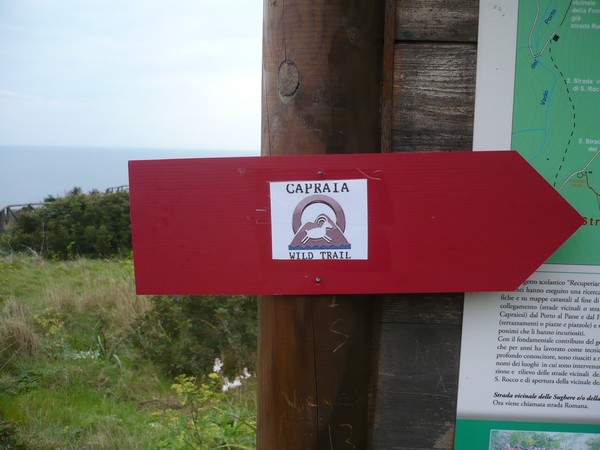 Capraia Wild Trail (06/04/2014) 030