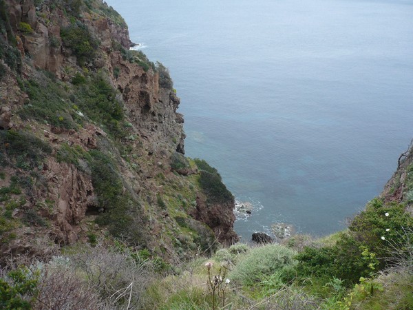 Capraia Wild Trail (06/04/2014) 031