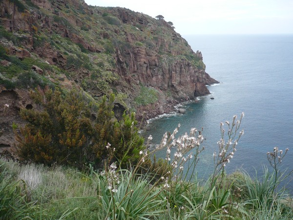 Capraia Wild Trail (06/04/2014) 032