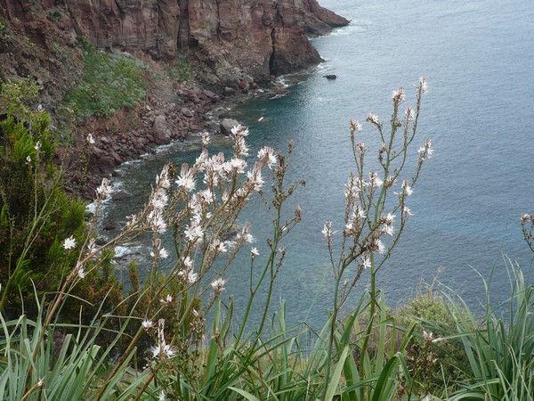 Capraia Wild Trail (06/04/2014) 033