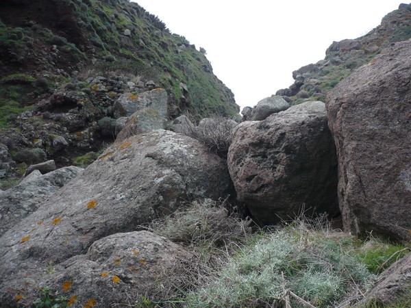 Capraia Wild Trail (06/04/2014) 039