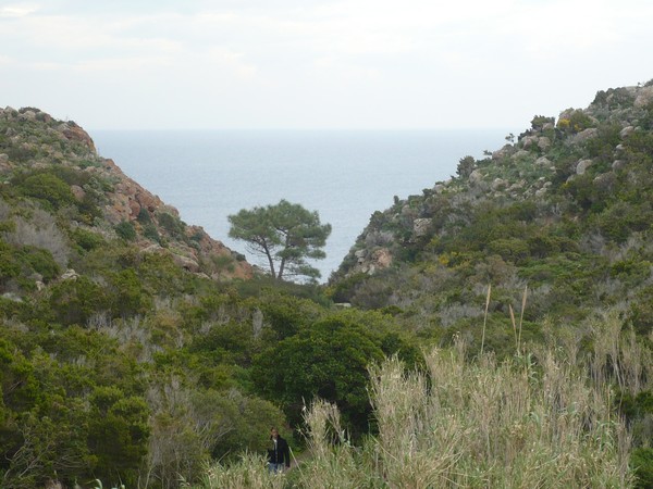Capraia Wild Trail (06/04/2014) 044