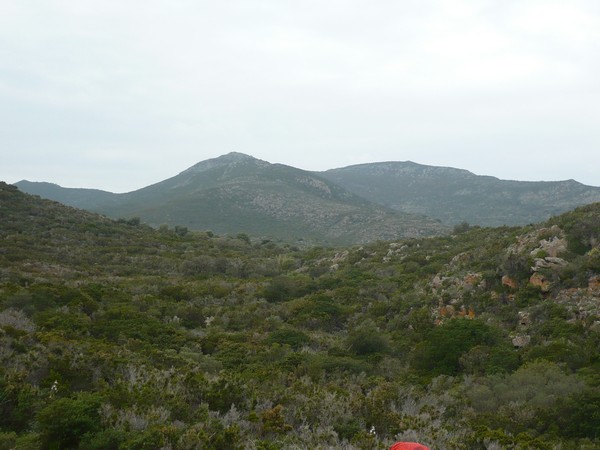 Capraia Wild Trail (06/04/2014) 046