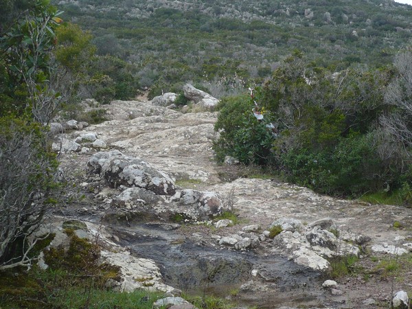 Capraia Wild Trail (06/04/2014) 048
