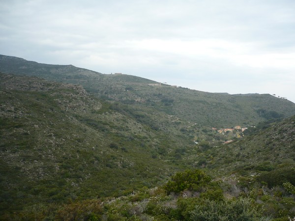 Capraia Wild Trail (06/04/2014) 051